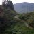 Winding road through Cameron Highlands, ideal for nature lovers on a 2-week Malaysia itinerary