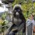 Monkey on Penang Hill, a scenic spot to add to a Malaysia 2-week or 3-week itinerary