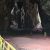 Exploring the Gomantong Caves during a Borneo safari adventure