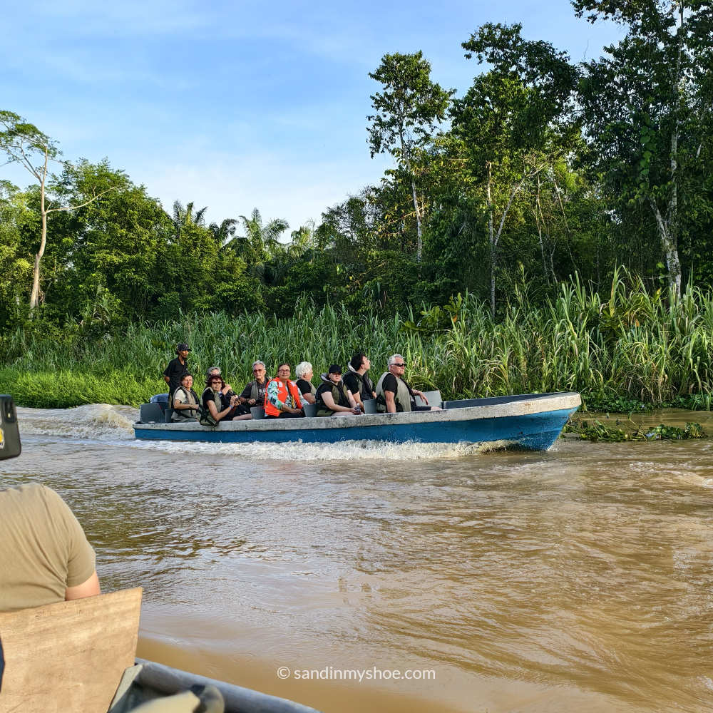 River boat in Kinabantangan River, Sabah, Borneo
