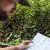 Mereading a map in Kundasang, a scenic stop on a Malaysia 10-day itinerary