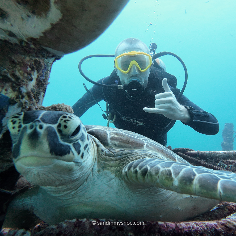 Petteri posing underwater beside a sea turtle in Semporna.