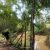 Trekking through Taman Negara jungle, a must-do activity on a Malaysia 3-week itinerary