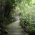The Habitat on Penang Hill is worth the visit.