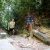 Petteri halfway the turtle beach hike.