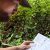 Traveler reading a map in Kota Kinabalu Kundasang area