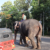 Elephant on the road in Sri Lanka — a common sights during a visit.