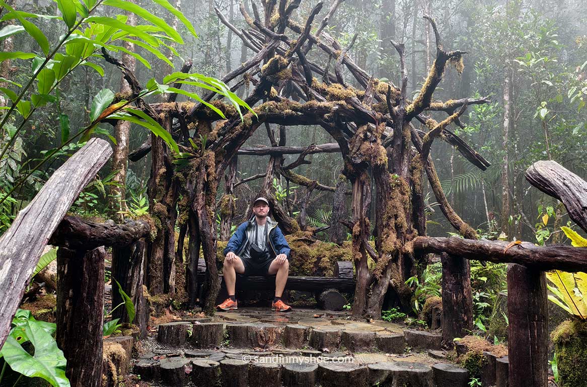 Petteri sitting on a natural chair that gives off Game of Thrones vibes in the botanical garden of Kinabalu Park, Kundasang.
